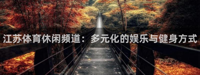 江苏体育休闲频道：多元化的娱乐与健身方式