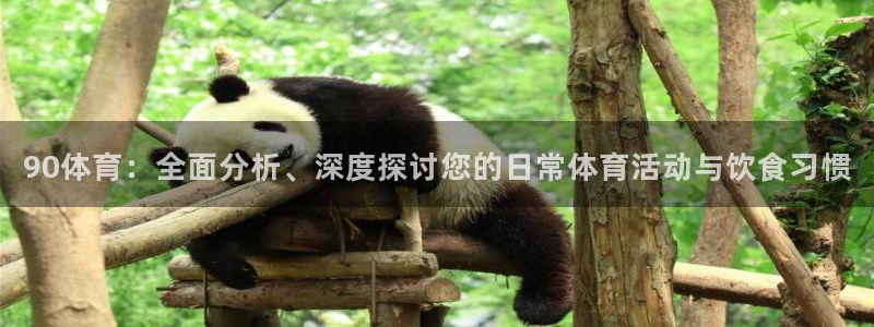90体育：全面分析、深度探讨您的日常体育活动与饮食习惯