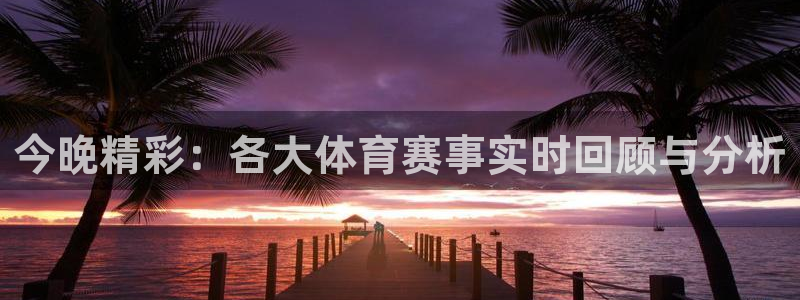 今晚精彩：各大体育赛事实时回顾与分析