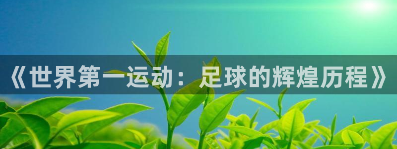 《世界第一运动：足球的辉煌历程》