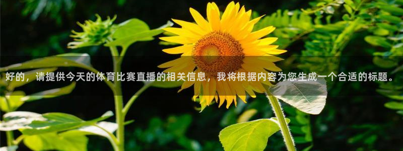 好的，请提供今天的体育比赛直播的相关信息，我将根据内容为您生成一个合适的标题。