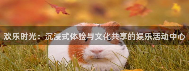 欢乐时光：沉浸式体验与文化共享的娱乐活动中心