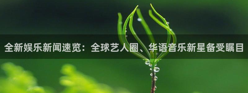 全新娱乐新闻速览：全球艺人圈、华语音乐新星备受瞩目