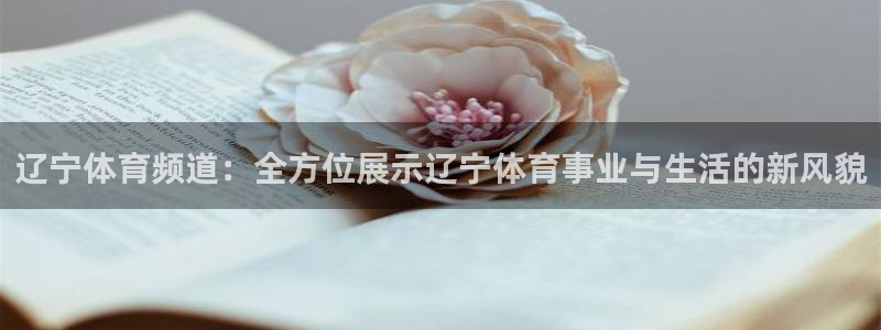 辽宁体育频道：全方位展示辽宁体育事业与生活的新风貌