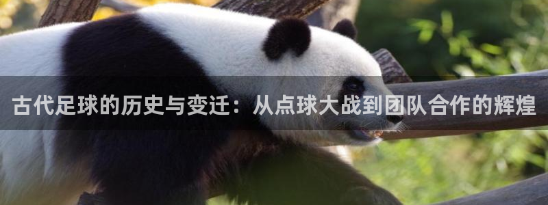 古代足球的历史与变迁：从点球大战到团队合作的辉煌