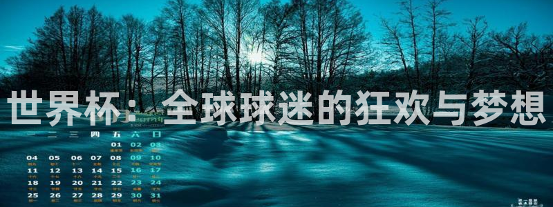 世界杯：全球球迷的狂欢与梦想