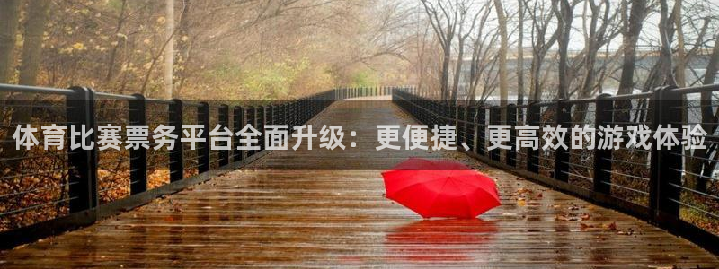 体育比赛票务平台全面升级：更便捷、更高效的游戏体验