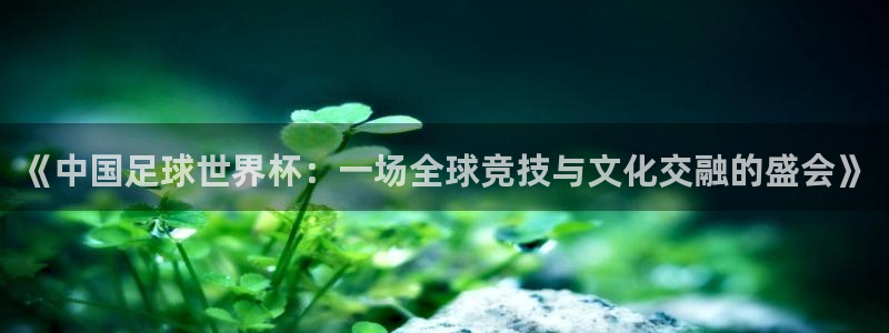 《中国足球世界杯：一场全球竞技与文化交融的盛会》