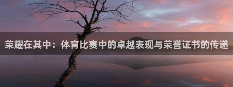 荣耀在其中：体育比赛中的卓越表现与荣誉证书的传递
