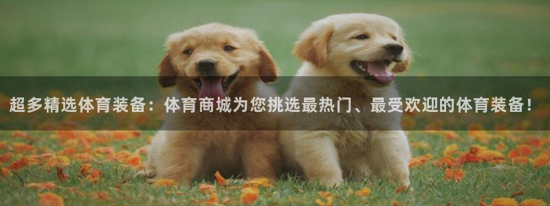 超多精选体育装备：体育商城为您挑选最热门、最受欢迎的体育装备！