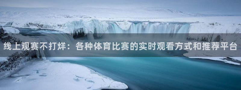 线上观赛不打烊：各种体育比赛的实时观看方式和推荐平台