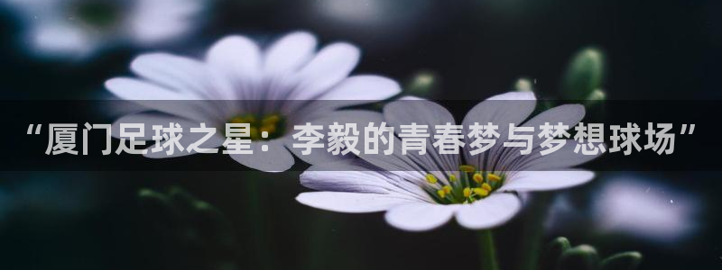 “厦门足球之星：李毅的青春梦与梦想球场”